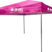 carpa-ine.png